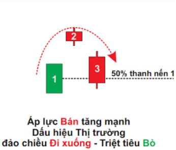 Mo-hinh-nen-Evening-Star6