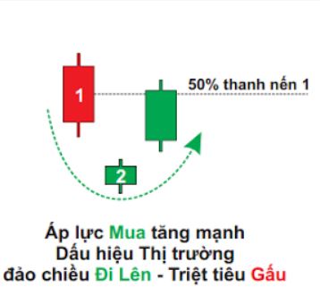 Mo-hinh-nen-Morning-Star5